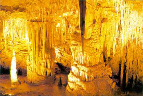 Naracoorte Caves